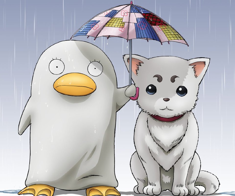 71Cr5FUHzOL._SX1330_CR150,30,960,800_-1